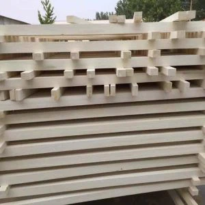 Striscia di Paulownia